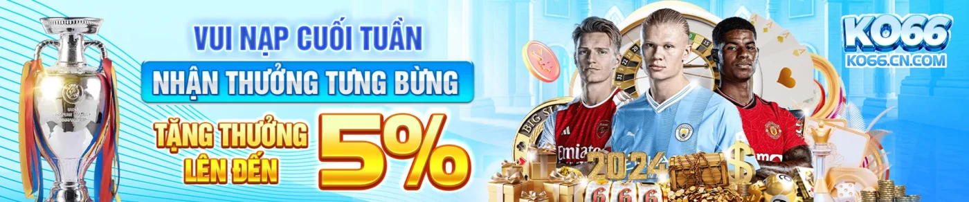 ko66 banner